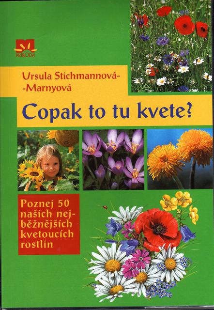 copak-to-tu-kvete