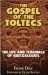 Gospel of the Toltecs